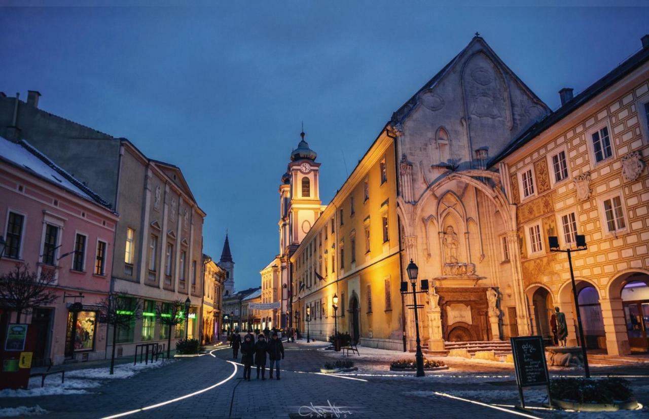 Korona Apartman Секешфехервар Экстерьер фото